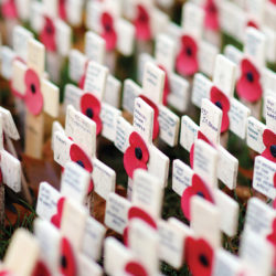 Poppy crosses at the Westminster Abbey Field of Remembrance, on Remembrance Day, to remember military and civilians who have died since World War I.