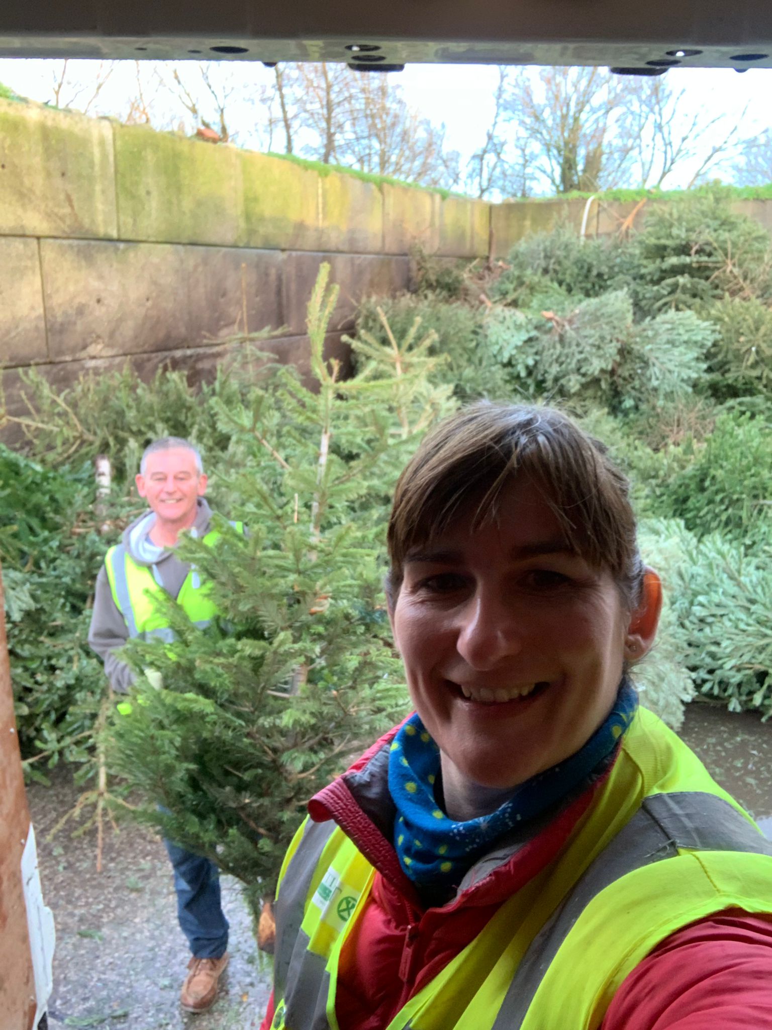 Hospice tree collection is best ever LinkMag